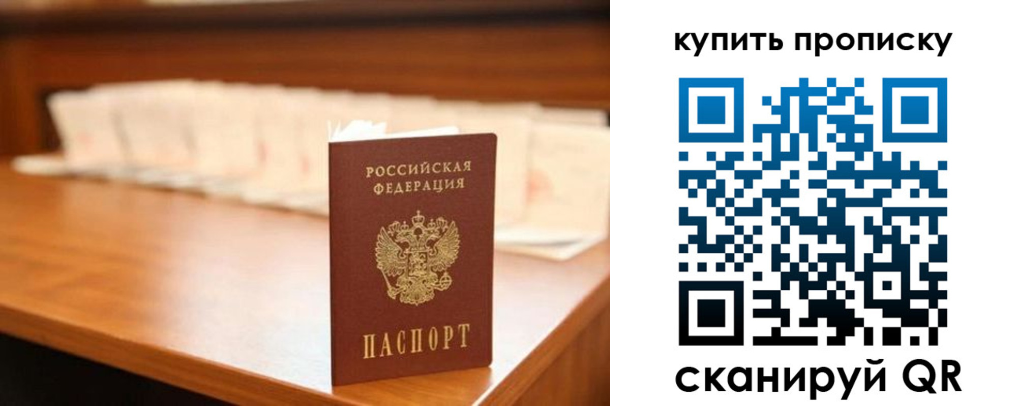прописка 2025 в Александровске